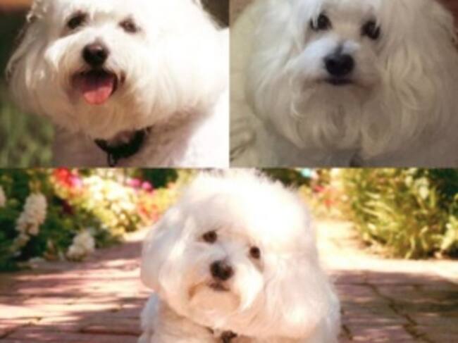 Captura Instagram @barbrastreisand