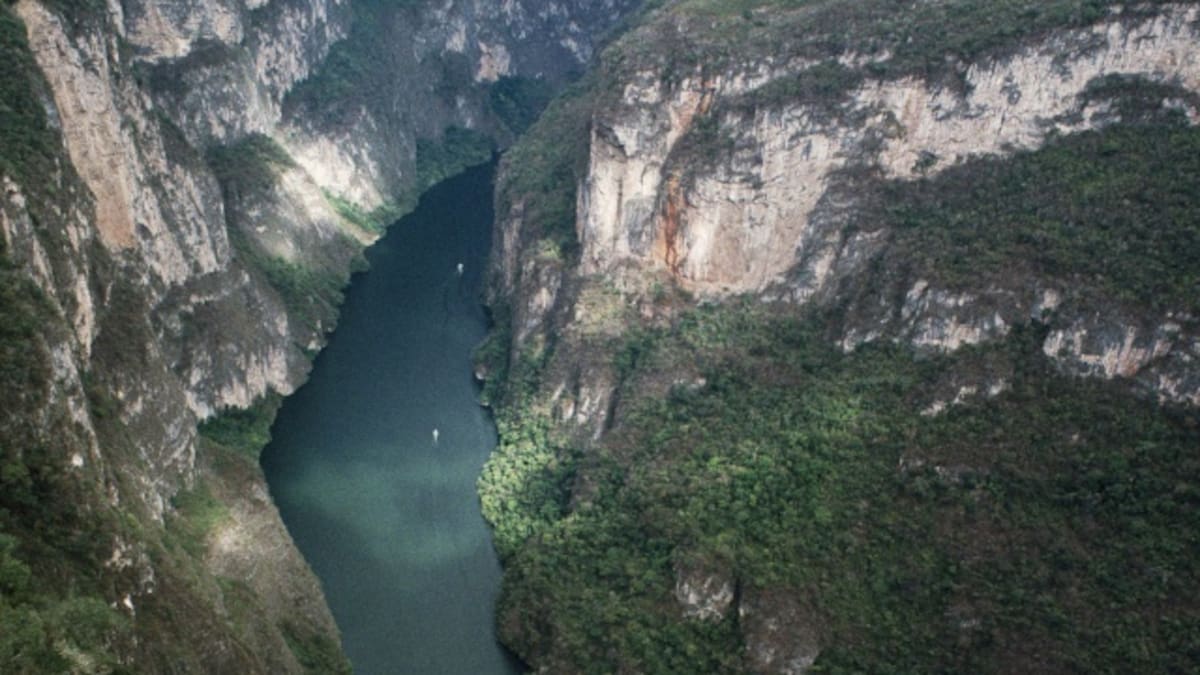 VIDEO: indignación por escena porno grabada en parque nacional
