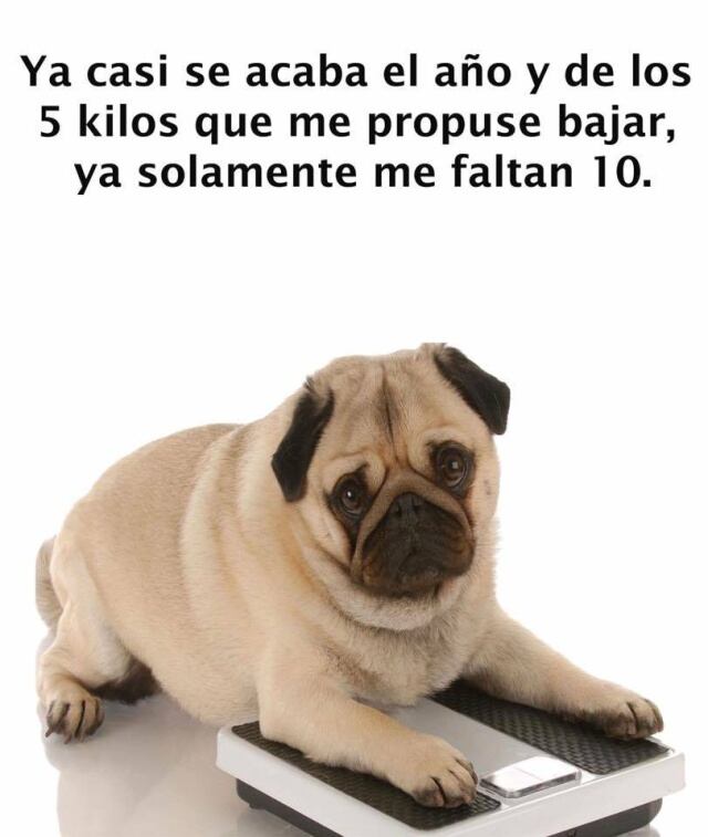 Facebook Dieta para Adelgazar