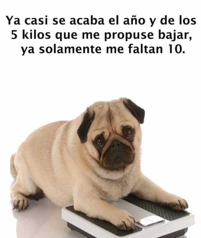 Facebook Dieta para Adelgazar