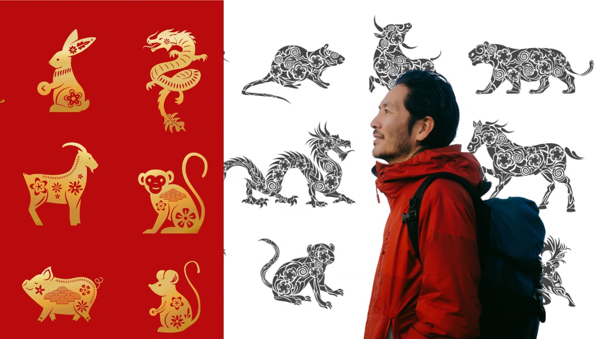 Signos del Horóscopo Chino que están destinados a estar solos en la vida: Prefieren la libertad