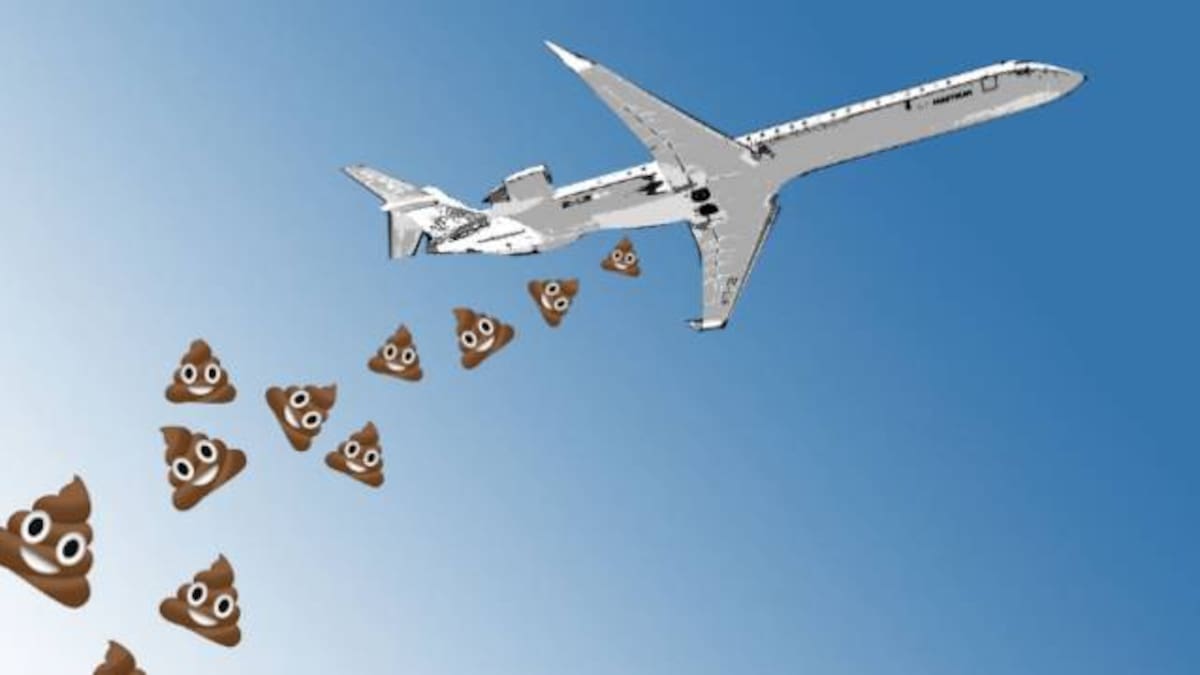 Hombre que descansaba en su jardín recibió ‘lluvia de excremento’ desde un avión