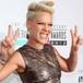 PINK PREPARA A SU HIJA PARA LA 'INEVITABLE' MUERTE DE SU PERRO ENFERMO