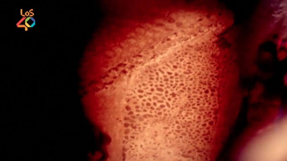 La actualidad musical con #LOS40ONESHOT