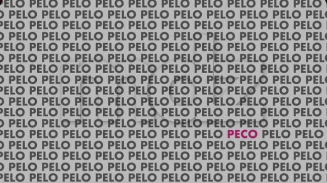 Crédito: Redes Sociales - MDZ