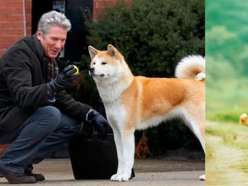 ¿Cuándo se estrena Hachiko 2 en Colombia? Te contamos dónde verla y de qué se trata