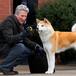 ¿Cuándo se estrena Hachiko 2 en Colombia? Te contamos dónde verla y de qué se trata