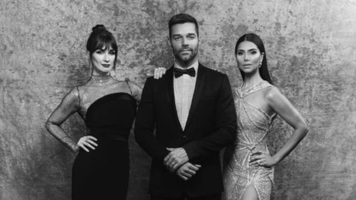 Fanáticos de Ricky Martin aseguran haber encontrado a la madre biológica de sus hijos