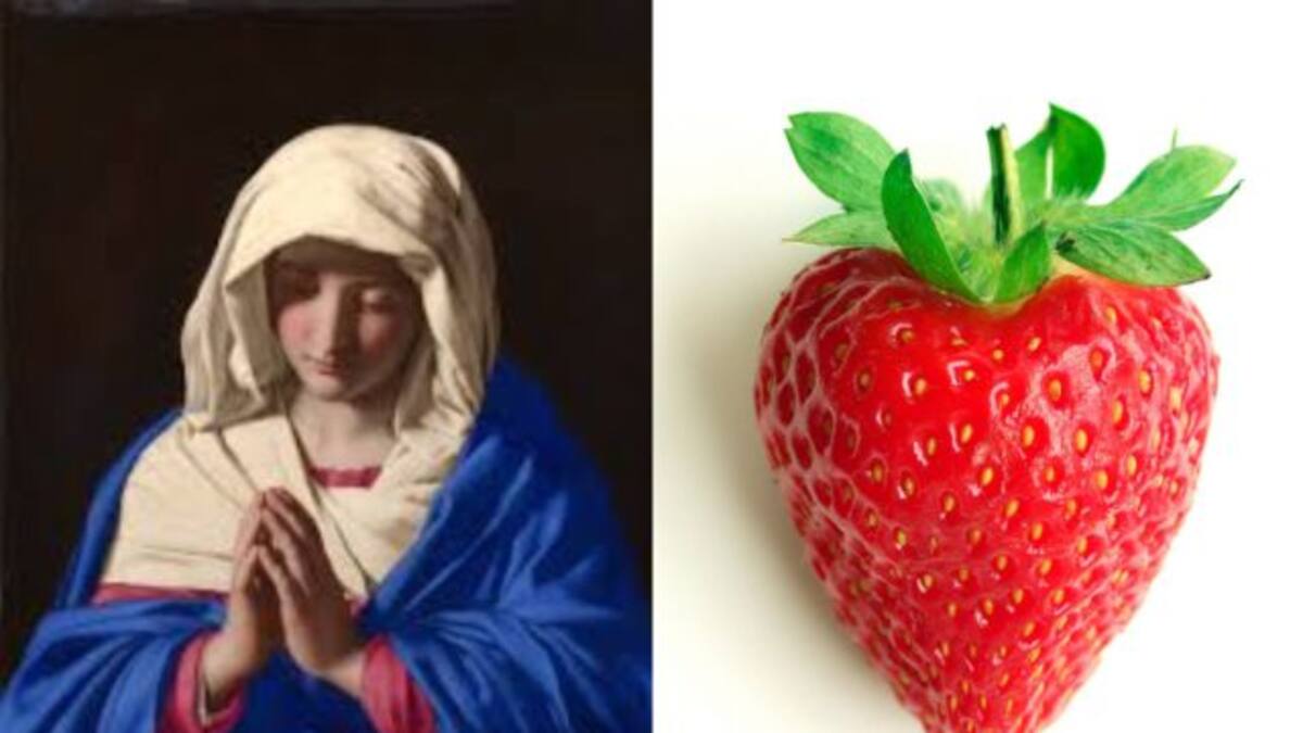 Actriz colombiana asegura que la virgen se le apareció en una fresa