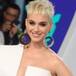 ASÍ LUCÍA KATY PERRY A LOS 13 AÑOS