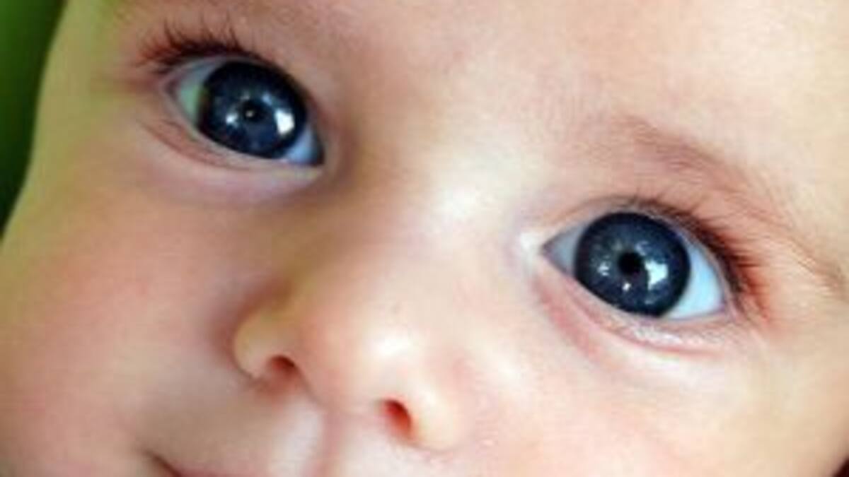 El pequeño y hermoso modelo con síndrome de down que derrite al mundo entero