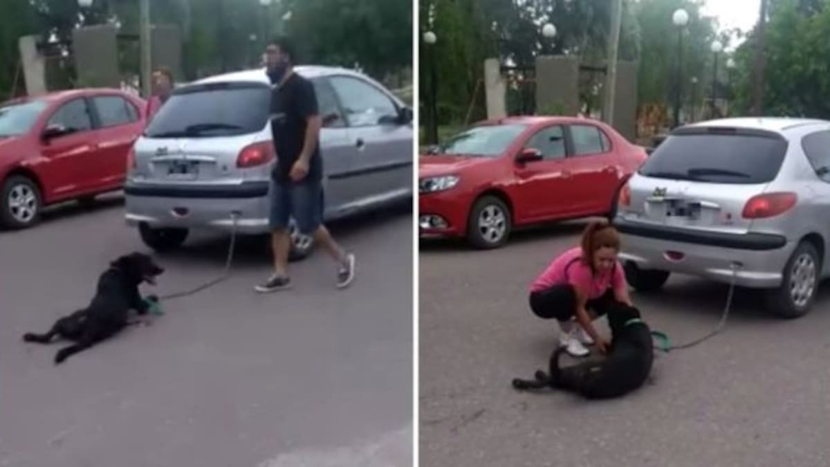 Cruel mujer encadenó a su perro al carro y lo arrastró
