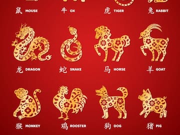 Los tres animales del horóscopo chino que van a conseguir un trabajo exitoso en noviembre
