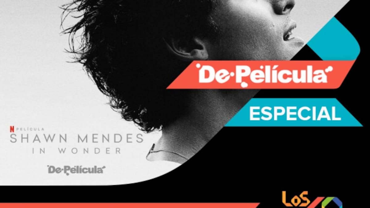 Shawn Mendes: in wonder en De Película