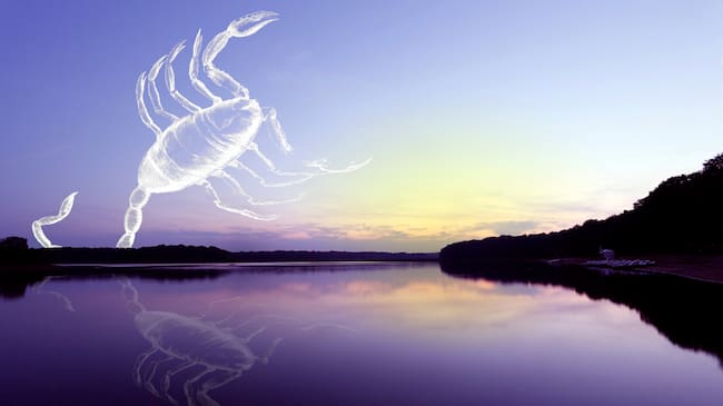 Signos Escorpio | Getty Images