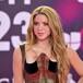 Padres de los compañeros de los hijos de Shakira, estarían molestos por la medidas de seguridad en la institución educativa