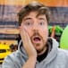 Mr Beast rescata a 100 perros abandonados y les construye un santuario para conseguirles un hogar