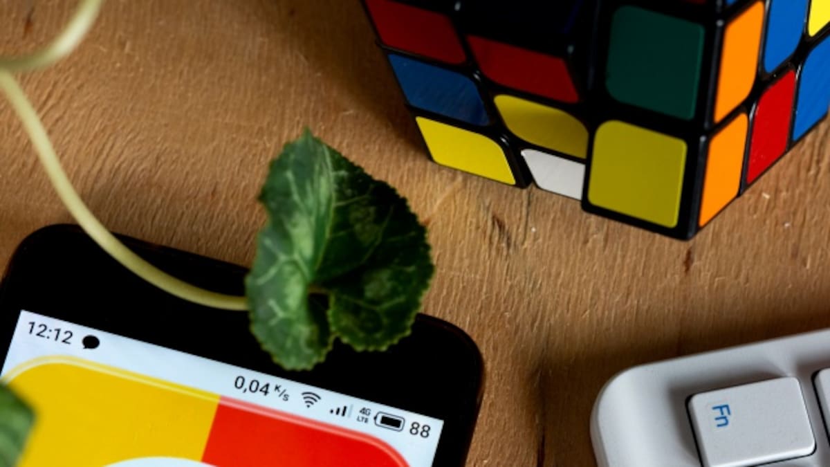 Google, ¿qué significa suánfonzon? y otras curiosidades que los colombianos se preguntaron