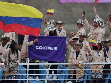 Esta es la millonada que se llevan los deportistas por ganar medallas en los Juegos Olímpicos