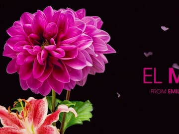 Letra de 'El Mal', canción de Emilia Pérez, nominada a los Premios Óscar 2025