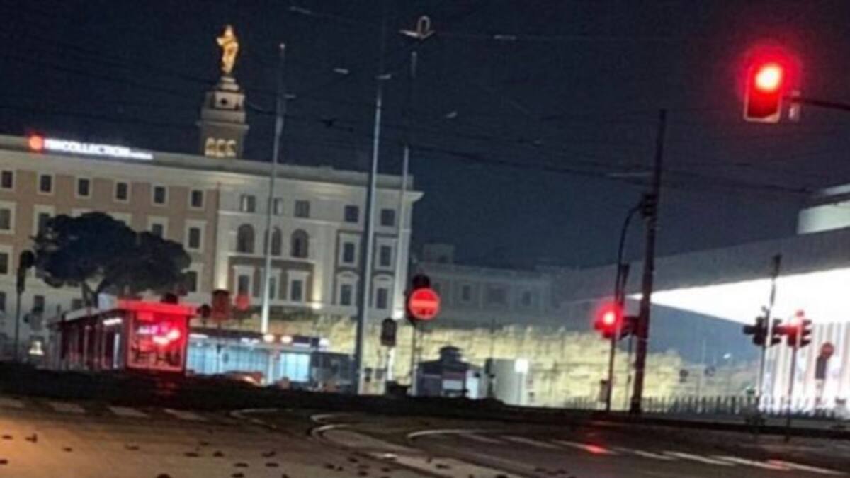 Cientos de aves mueren a causa de fuegos artificiales
