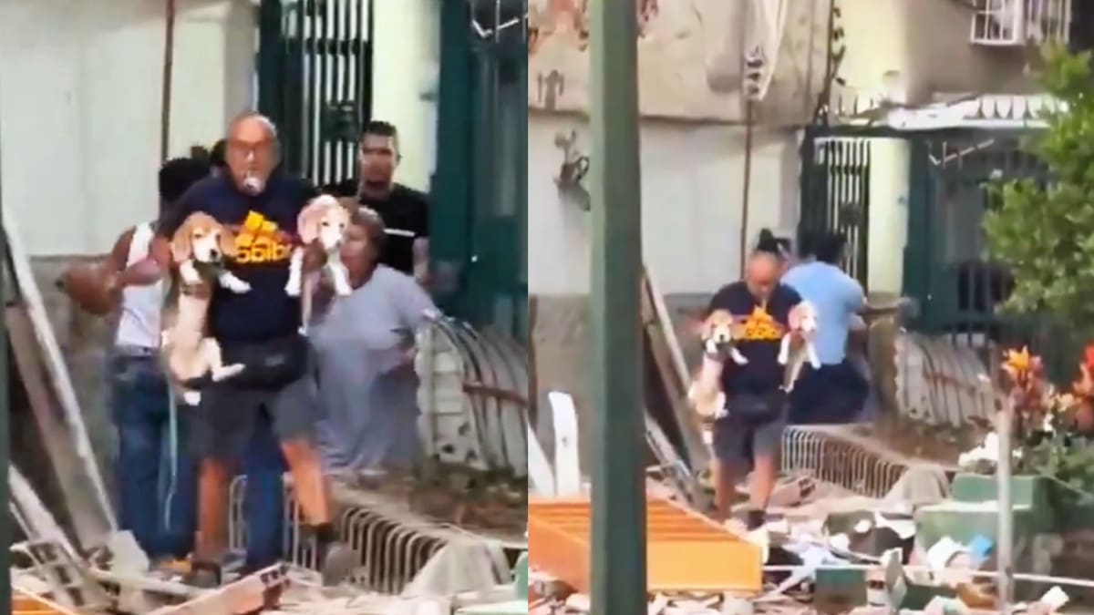 VIDEO: Hombre es viral en redes por volver a casa a rescatar sus perros tras fuerte terremoto en Venezuela