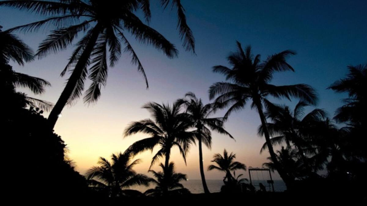 Imágenes del Día de La Tierra tomadas con un iPhone