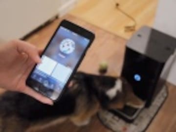 'SMART FEED', EL COMEDERO DE ANIMALES QUE SE OPERA DESDE EL MÓVIL