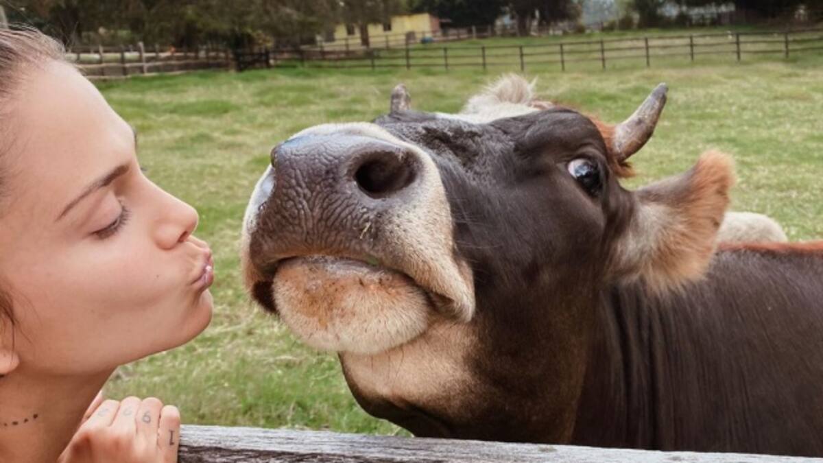 Greeicy Rendón salva la vida de un indefenso animal