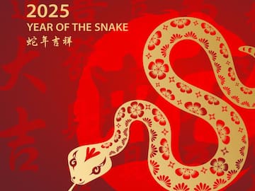 ¿Qué estudiar si eres Serpiente, según el horóscopo chino? 5 carreras profesionales
