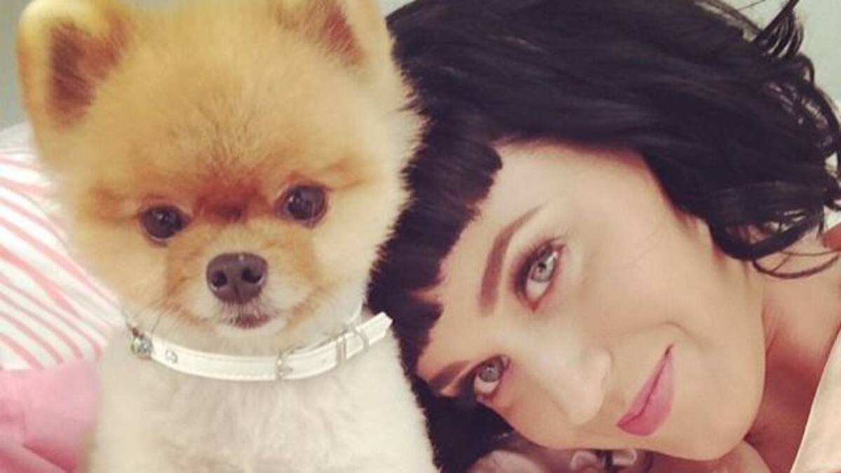 Katy Perry quiere estar con Pharrell en el Super Bowl 2015