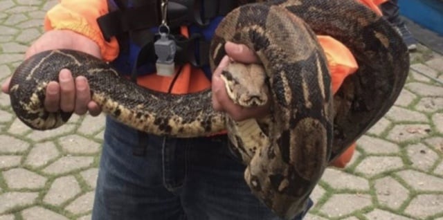 Foto Secretaria de Ambiente