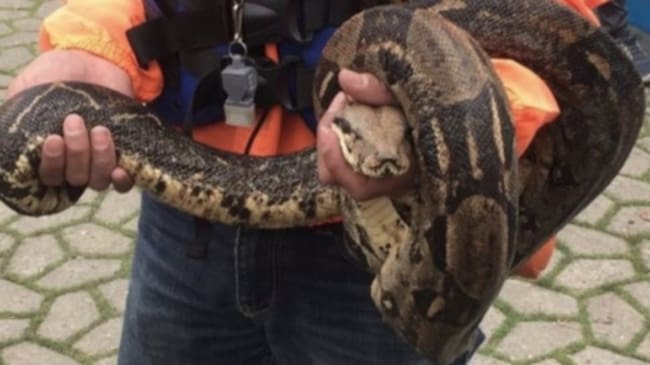 Foto Secretaria de Ambiente