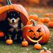 ¿Qué hacer durante Halloween en Bogotá? 5 planes de diferentes presupuestos