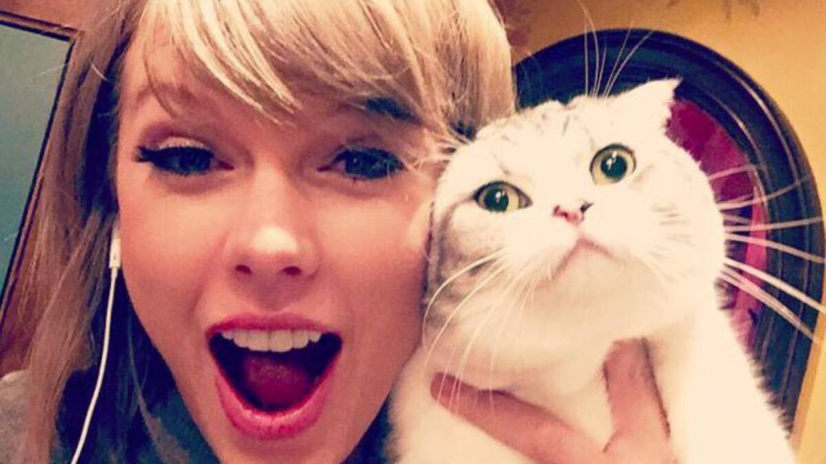 Las mascotas más lindas de la música