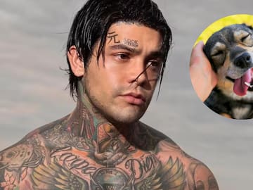 Yeferson Cossio propone reto viral para donar 1000 esterilizaciones para perros de la calle; así puede ayudar