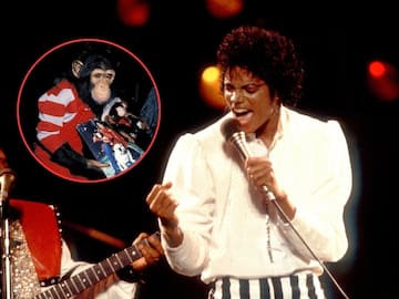 ¿Se acuerda del chimpancé de Michael Jackson? Así se ve 15 años después de la muerte del Rey del pop