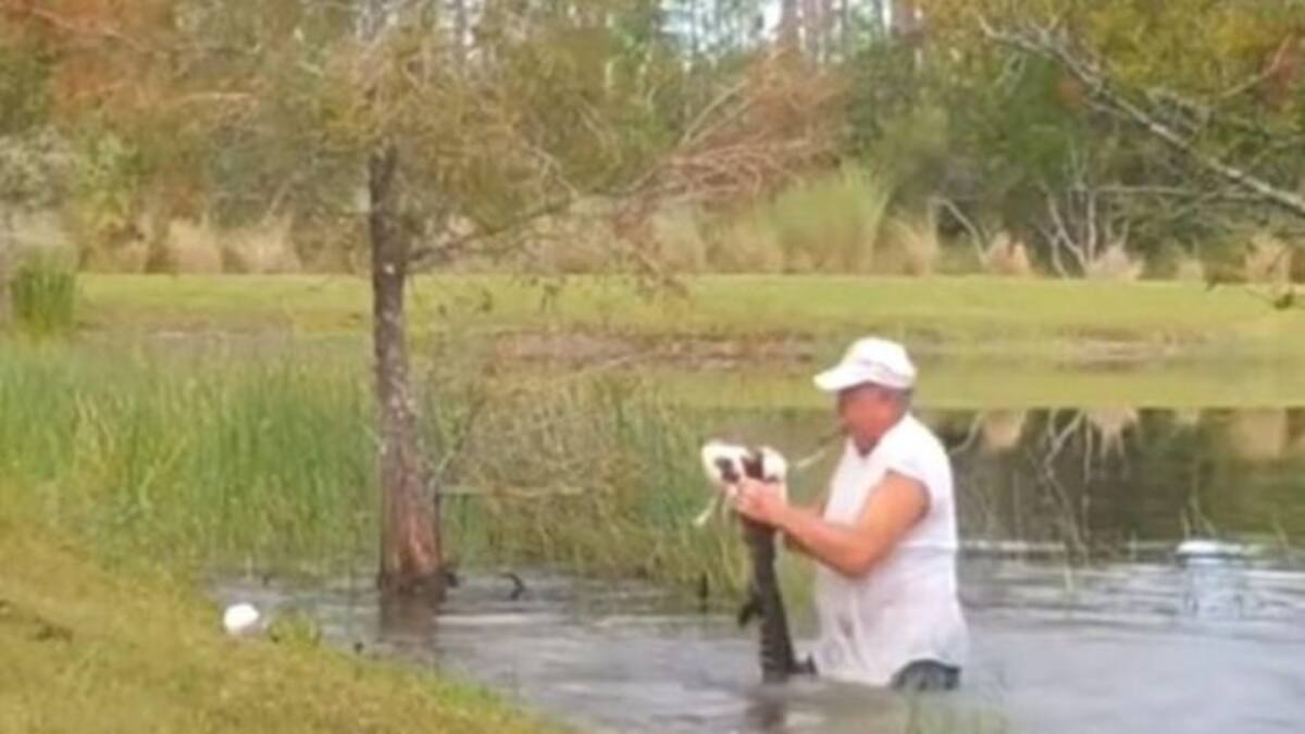 Hombre se enfrenta a un caimán para salvar a su perrito de morir
