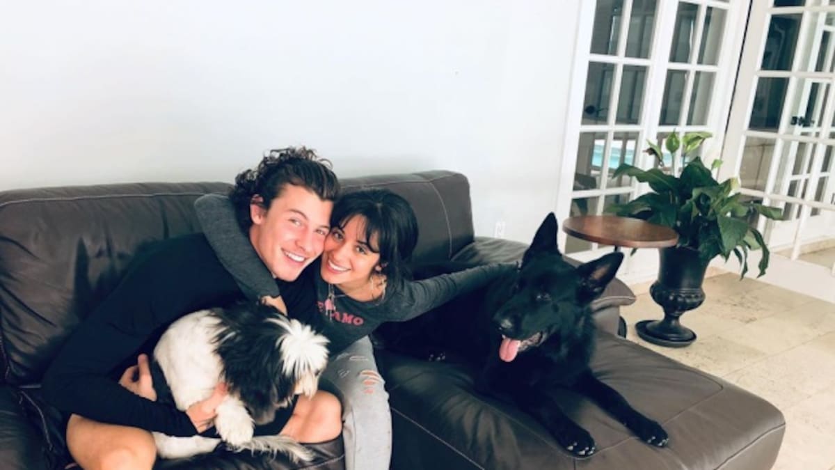 Camila Cabello muestra a su nuevo amor, ¿y Shawn Mendes?
