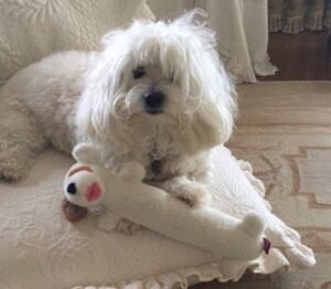 Captura Instagram @barbrastreisand