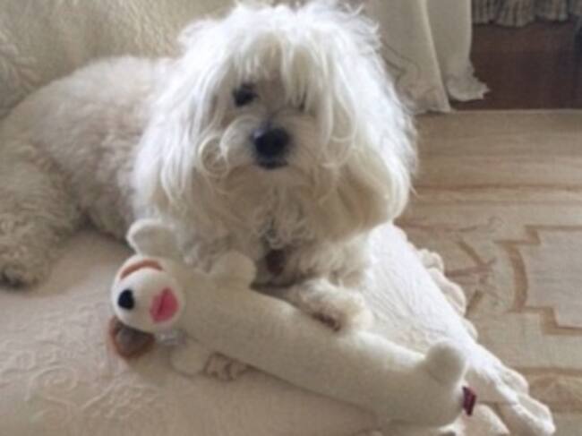 Captura Instagram @barbrastreisand