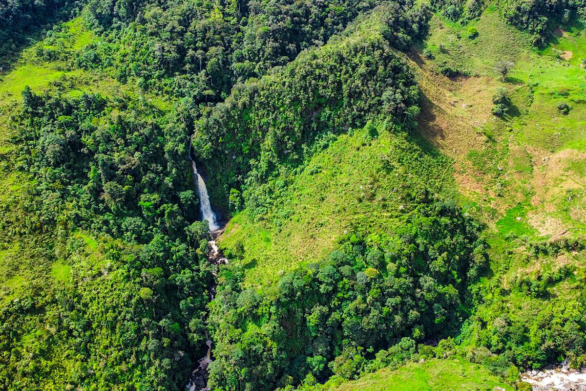 El municipio antioqueño que se estaría convirtiendo en el favorito de los jóvenes por su oferta de entretenimiento