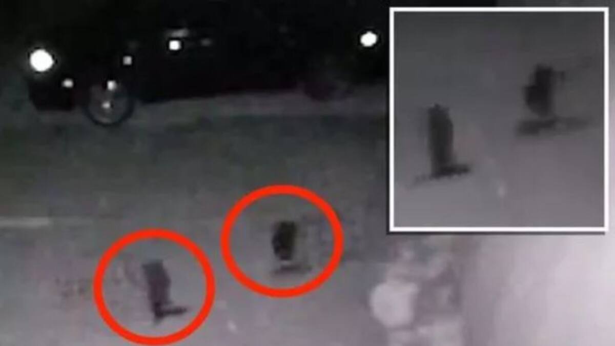 Pequeñas y aterradoras ‘criaturas alienígenas' son captadas en video