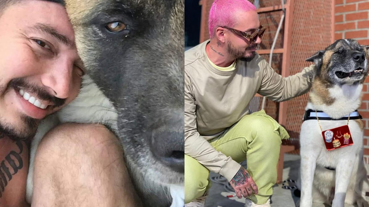 J Balvin conmueve a sus fans con el inesperado tributo a Enzo en 'Dalmation': miralo aquí