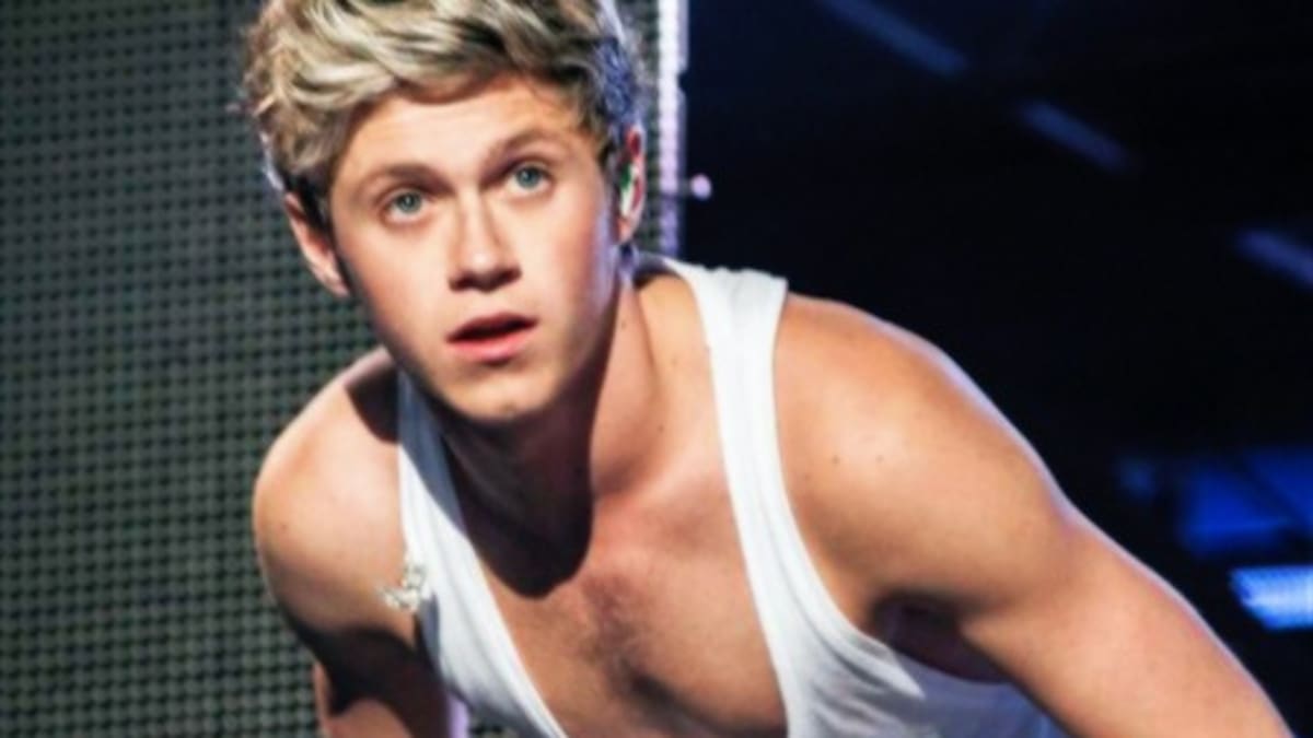 Niall Horan pone fin a su romance con Barbara Palvin