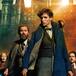 ¿Cancelada? Actores hablan del desalentador futuro ‘Animales Fantásticos’, saga de Harry Potter