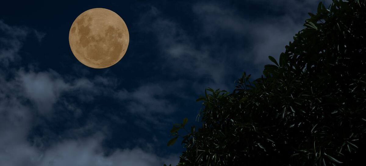 Créditos: Getty Images - Luna fría