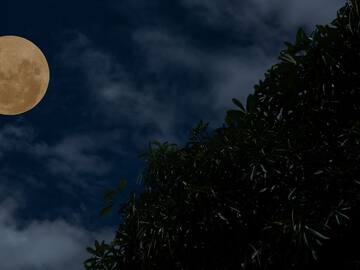 Se acerca la última luna fría del año; cuándo y cómo ver el increíble fenómeno natural