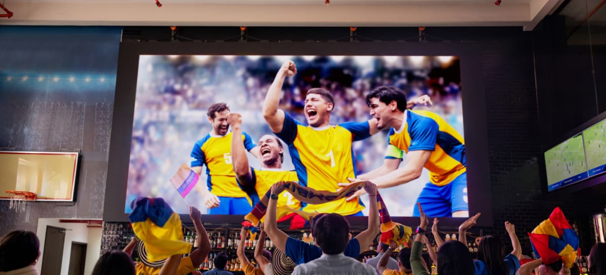 Hinchas colombianos