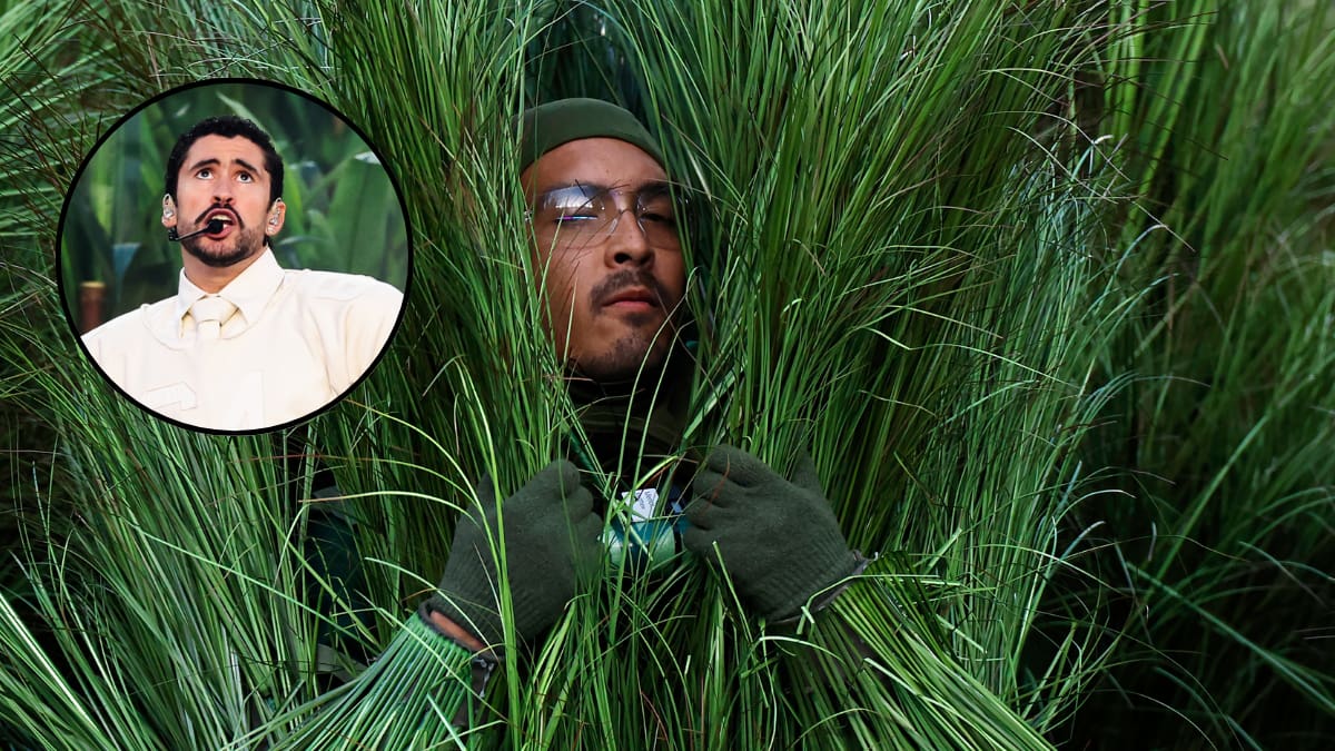 La cifra de dinero que le pagaron a los arbustos en el show de Bad Bunny: ¿Muy poco?